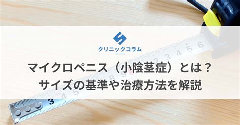 陰茎小帯|陰茎小帯とは？ わかりやすく解説